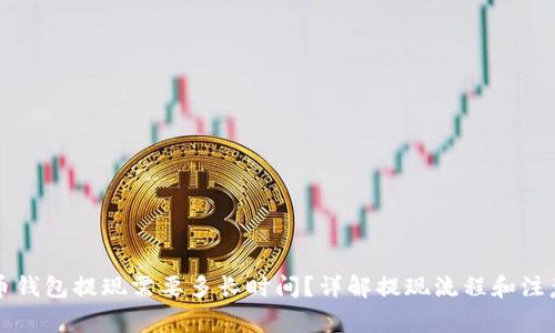 比特币钱包提现需要多长时间？详解提现流程和注意事项