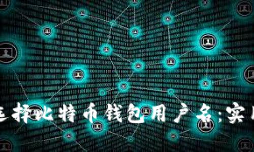 如何选择比特币钱包用户名：实用指南