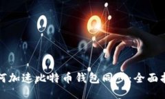 如何加速比特币钱包同步：全面指南