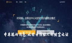 中本聪的钱包：比特币创始人的财富之谜