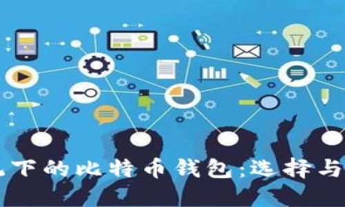 苹果系统下的比特币钱包：选择与使用指南