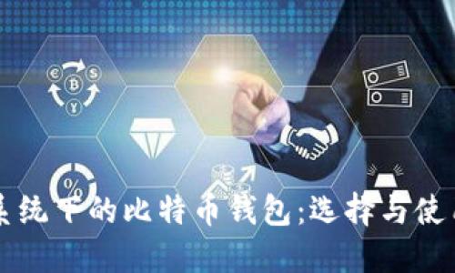 苹果系统下的比特币钱包：选择与使用指南