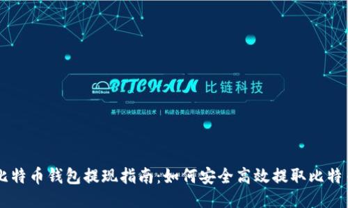 比特币钱包提现指南：如何安全高效提取比特币