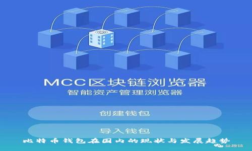 比特币钱包在国内的现状与发展趋势