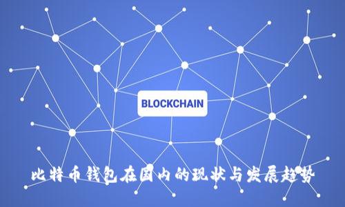 比特币钱包在国内的现状与发展趋势