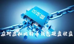 : 如何应对虚拟比特币钱包硬盘被盗的风险