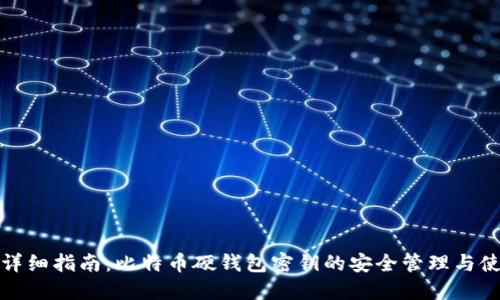 超详细指南：比特币硬钱包密钥的安全管理与使用