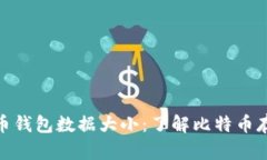 : 比特币钱包数据大小：了解比特币存储需求