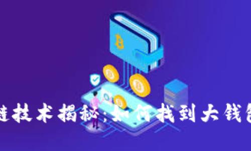 区块链技术揭秘：如何找到大钱包地址