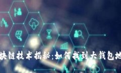 区块链技术揭秘：如何找到大钱包地址