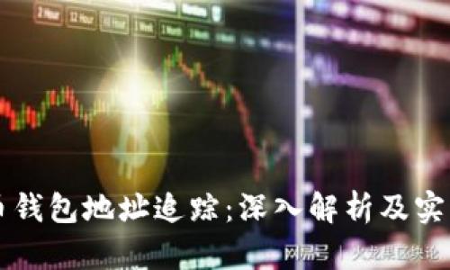 比特币钱包地址追踪：深入解析及实用指南