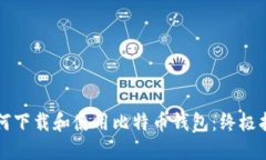 如何下载和使用比特币钱包：终极指南