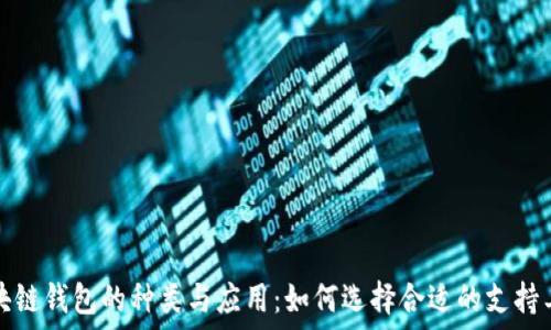   
区块链钱包的种类与应用：如何选择合适的支持工具
