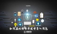 如何在比特币开发中导入钱包