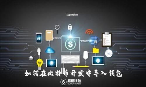 如何在比特币开发中导入钱包