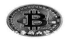 比特币钱包记录的内容及其用途详解