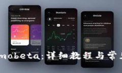 如何下载imobeta：详细教程与常见问题解答
