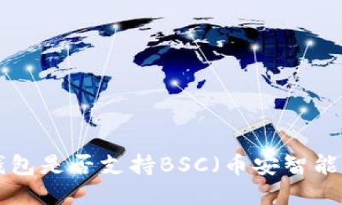 IM钱包是否支持BSC（币安智能链）？