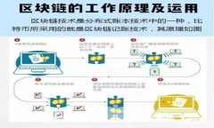 IMM币：全面解析及未来发展展望