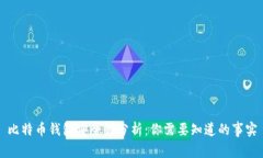 比特币钱包安全性分析：你需要知道的事实