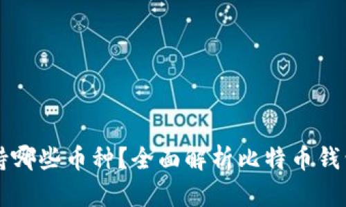 比特币钱包支持哪些币种？全面解析比特币钱包的多币种功能