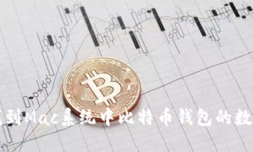 如何找到Mac系统中比特币钱包的数据目录