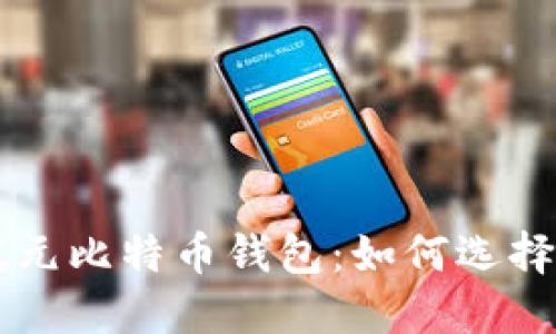 新加坡元比特币钱包：如何选择和使用