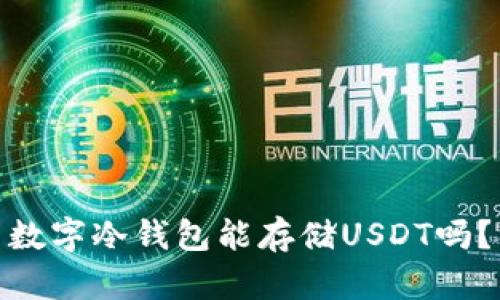 数字冷钱包能存储USDT吗？