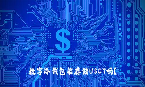 数字冷钱包能存储USDT吗？