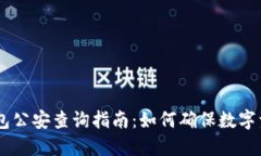 USDT钱包公安查询指南：如何确保数字资产安全