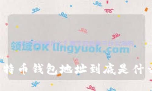 比特币钱包地址到底是什么？