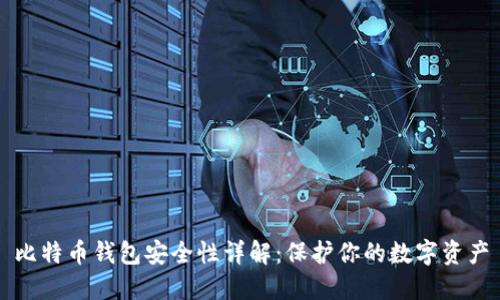 比特币钱包安全性详解：保护你的数字资产